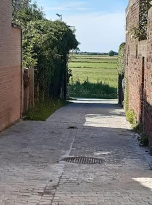 Kleine Dijk * Dixmude